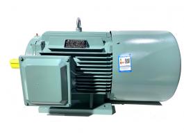 YVFE5系列超高效變頻調(diào)速電機(IE5一級能效)